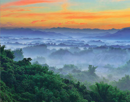 Saving the World’s Three Largest Rainforests
